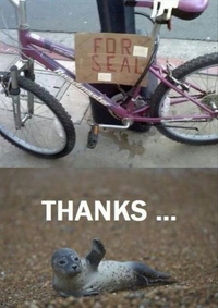 Une histoire de vélo à vendre