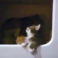Celui là je l’aurais appelé gnafron 