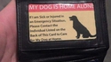 Une pensée pour son chien