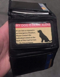 Une pensée pour son chien