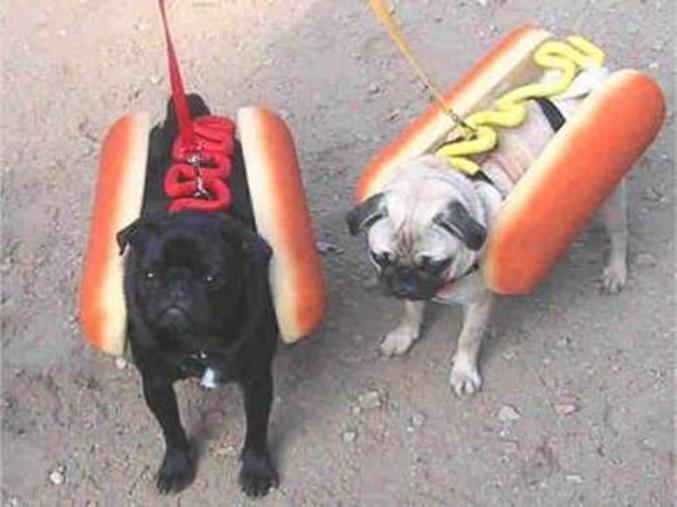 Deux jolis hotdogs .
