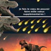 Une comète, un voeu