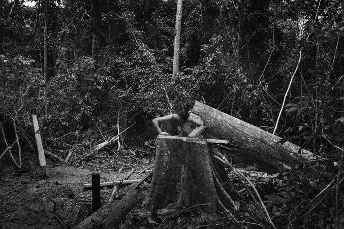 Un membre de la tribu Guajajara se recueille devant un arbre abattu illégalement dans la réserve indigène d’Araribóia, une zone supposée protégée, dans l’Etat du Maranhão.
Photo de Tommaso Protti