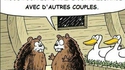 L'origine des ornithorynques