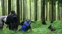 Photographe animalier