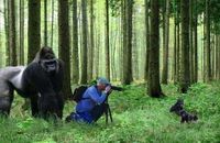 Photographe animalier