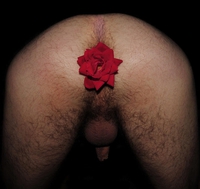 Fleur d'anus, de Chacarel