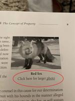 A trop manier le "copié-collé", tu risques de passer pour un nul lors de ton exposé.