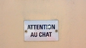 Attention au chat