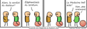 Histoire de scrotum
