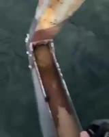 Apres le saut à l'élastique