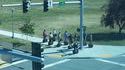 Réunion de segway