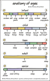 Anatomie des âges