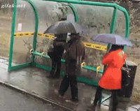 À l'abri de la pluie