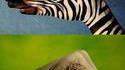 Peintures sur mains