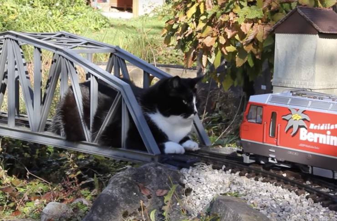 Pas moyen de jouer au petit train tranquille.
