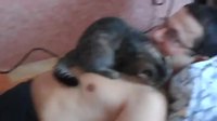 Chat câlin