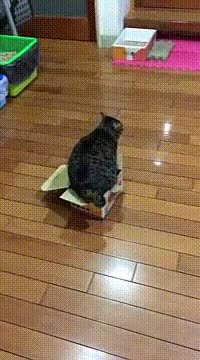 Quand tu veux installer un jeu...