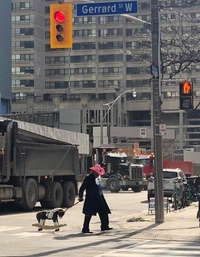 Tous les prétextes sont bons pour sortir lors du confinement