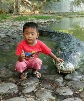 Il a l'air vieux, en partie édenté, mal-voyant...