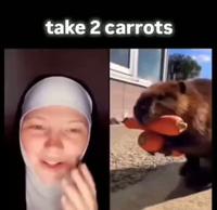 Avez-vous déjà vu ?