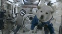 Pendant ce temps dans l'espace