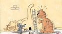 Trou de chat