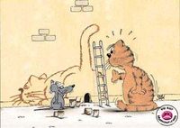 Trou de chat