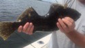 Poisson mordu  