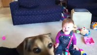Chien Vs. bulles