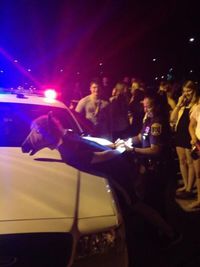 Arrestation d'un cheval