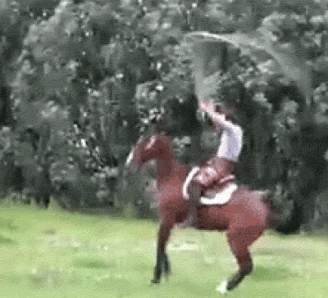 Saut de cheval