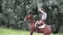 Saut de cheval