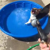 Remplissage de piscine