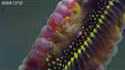 Dame Nature, magnifique et impitoyable 2