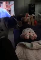 Mais mais le nouveau s’est chié dessus 