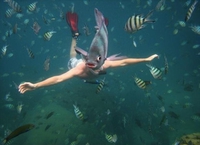 Sous l'eau