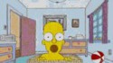 La vie d'homer