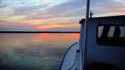 Bienvenue sur lelombrik.wmv