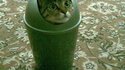 R2Dcat