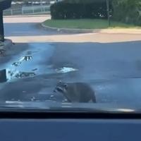 Un donut s’il vous plaît 