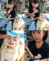 Qui a entraîné l’autre ?