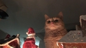 Le père Noël ne le sait pas encore...