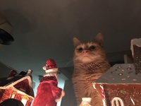 Le père Noël ne le sait pas encore...