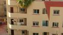 Plante d'appartement