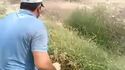 Instinct du vrai chasseur