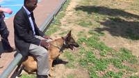Protection canine pour VIP