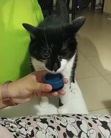 Nom nom nom nom !