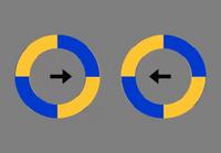 Le cerveau, cet organe influençable