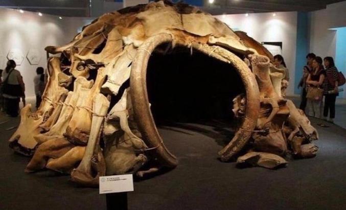 En 1965 des fouilles à Mezhyrich en Ukraine ont révélé 4 huttes faites en ossement de mammouth ces habitations de 15000 ans comptent parmis les plus anciens abri connus construit par l’homme .
